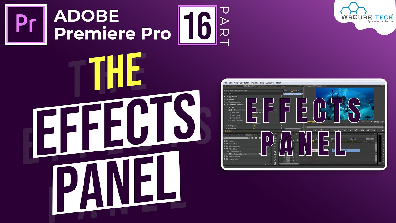 Fixed effects in Premiere pro effects control Panel Explained |Premiere Pro Basics (Hindi) Part-16